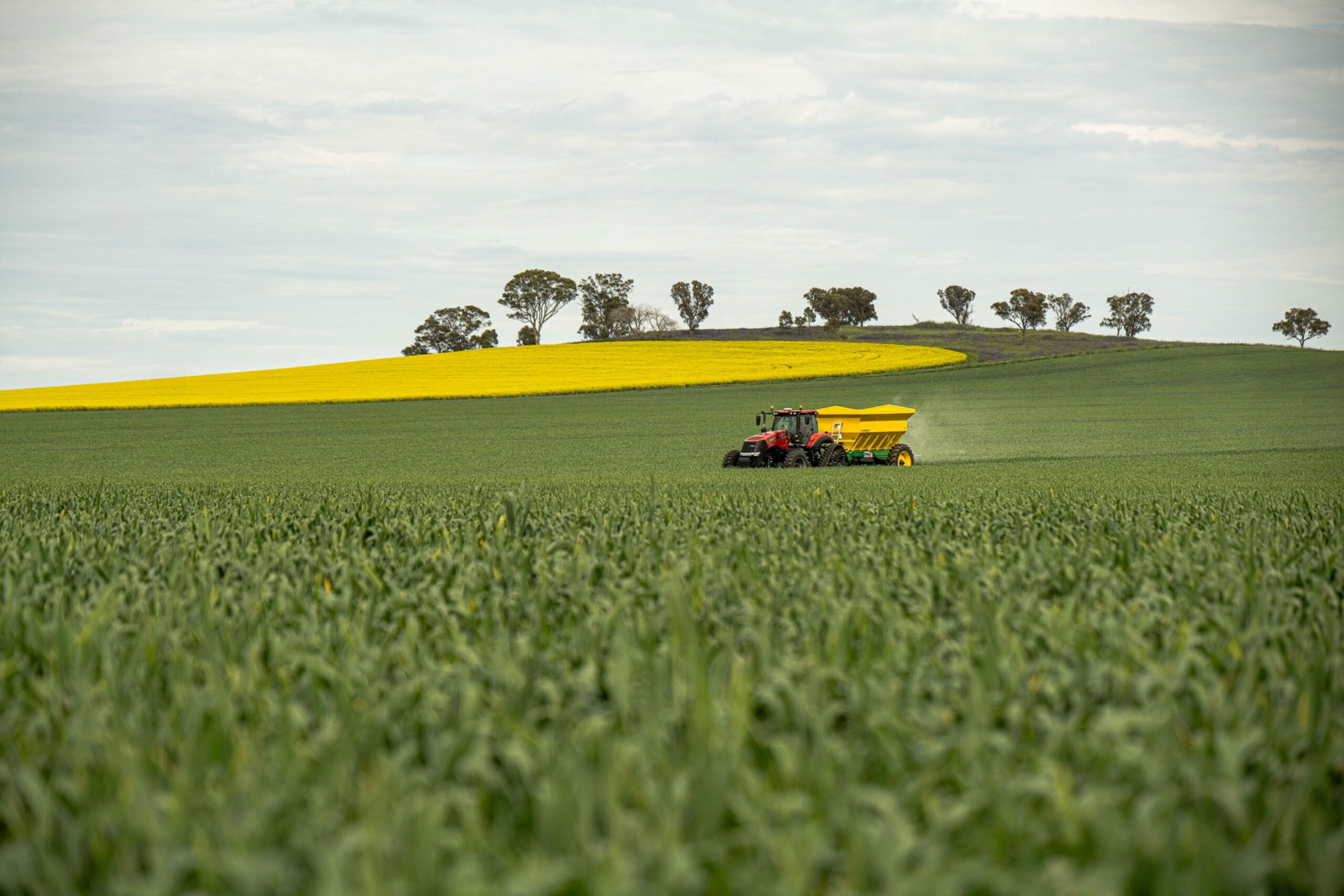 Fertilizer Industries